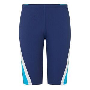 Zoggs Mens Swim Shorts / Blue